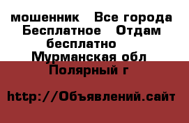 мошенник - Все города Бесплатное » Отдам бесплатно   . Мурманская обл.,Полярный г.